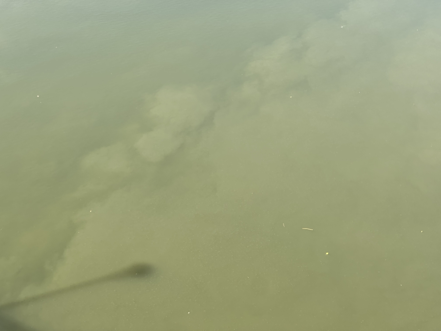 Water surface